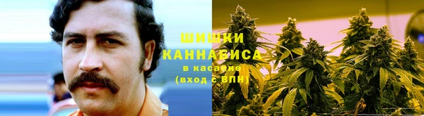 МДПВ Михайловск