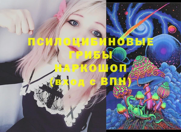 герыч Мегион