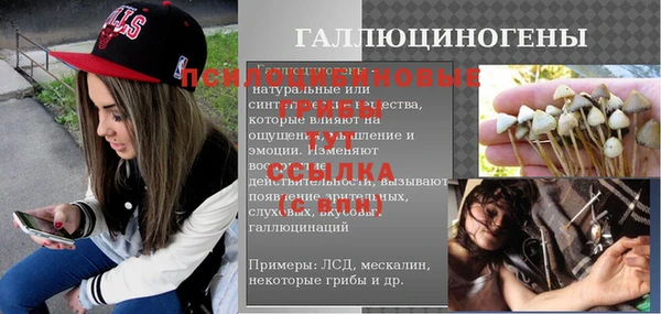 ПСИЛОЦИБИНОВЫЕ ГРИБЫ Михайлов