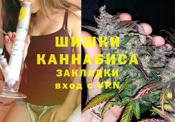 герыч Мегион