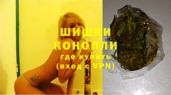 герыч Мегион