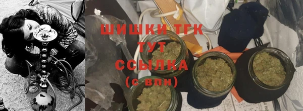 герыч Мегион