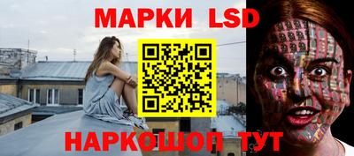 амф Донской