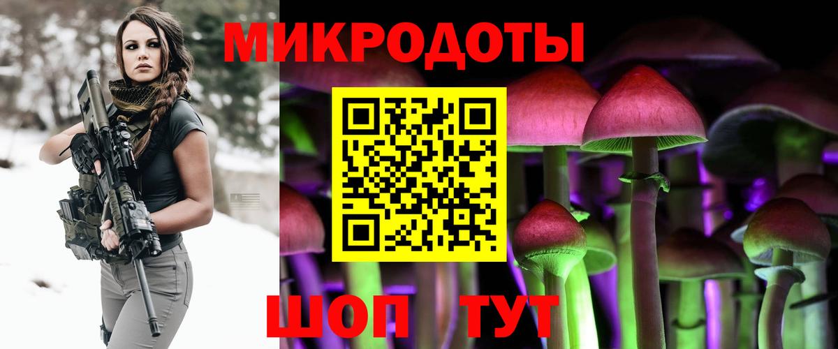 Галлюциногенные грибы Cubensis  Псилоцибиновые грибы GOLDEN TEACHER  Магадан  купить наркотики цена  Вход с VPN 
