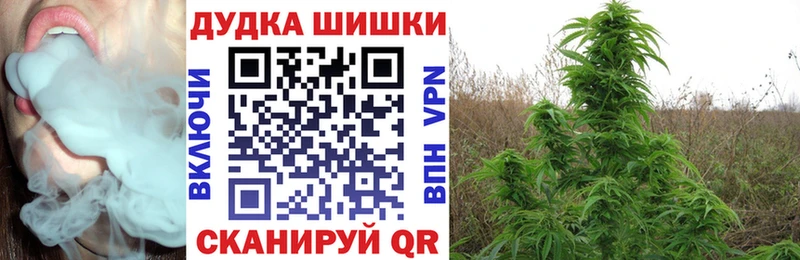 дарк нет телеграм  Магадан  Шишки марихуана марихуана 